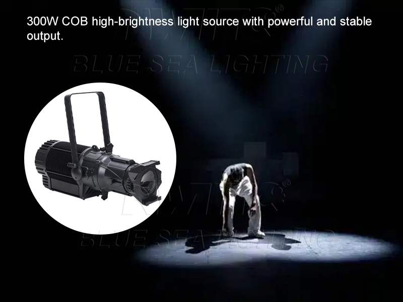 IP65 Wasserdichter Outdoor 300 – Outdoor Spotlight Bewertung und Preis